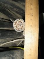 Фотография контрольного кабеля КВВГнг 27х2.5 пониженной горючести