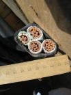 Фотография медного четырёхжильного кабеля ВВГ 3х120+1х50 в поливинилхлоридной изоляции и оболочке для монтажа на улице и в зданиях