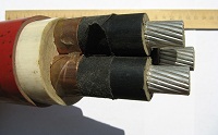 Фотография разделанного кабеля с изоляцией из сшитого полиэтилена АПвЭВ 3х185 (виден сердечник)