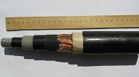 Фотография общего вида образца кабеля с изоляцией из сшитого полиэтилена АПвЭгП 1х240