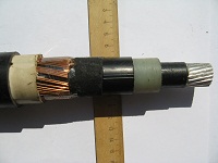Фотография сечения кабеля с изоляцией из СПЭ АПвЭгП на 1х240 производства Южкабель