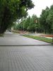 Парк трудовой славы в Запорожье, вид на аллею памяти павших войнов в 1941-1945 годах (деревья посажены Героями Советского Союза)